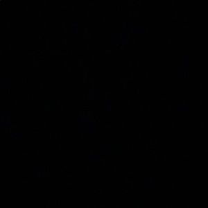 Meet your Posher, Princesa